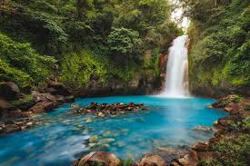 Guanacaste - Image 3